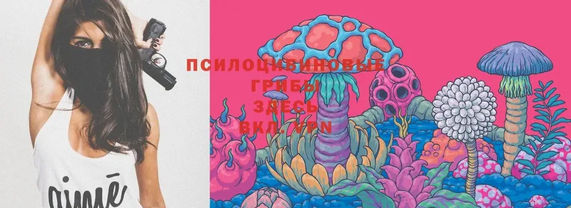 Галлюциногенные грибы Magic Shrooms  купить закладку  Белорецк 